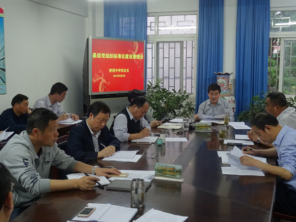 肥西中学党总支积极推进基层党组织标准化建设(图1)