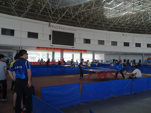 肥西中学在县第五届乒乓球比赛中喜获佳绩(图2)