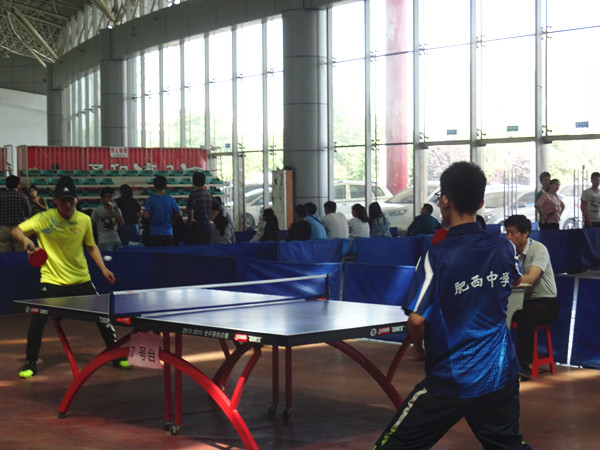 肥西中学在县第五届乒乓球比赛中喜获佳绩(图1)
