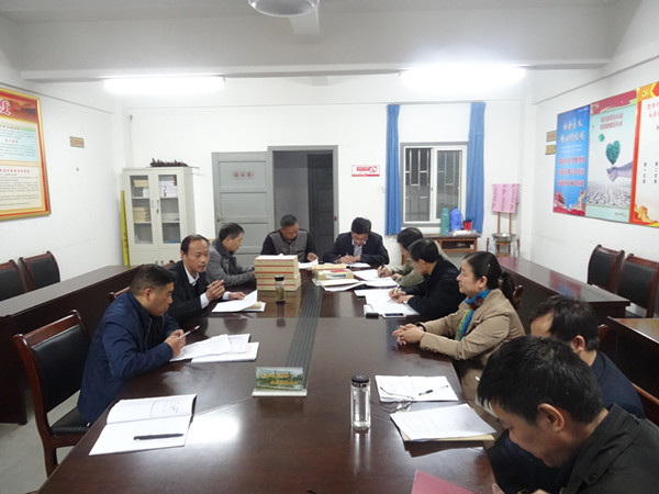 肥西中学党总支作迎接基层党建验收动员(图2)