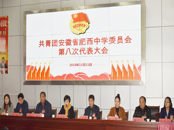 共青团安徽省肥西中学委员会召开第八次代表大会(图2)