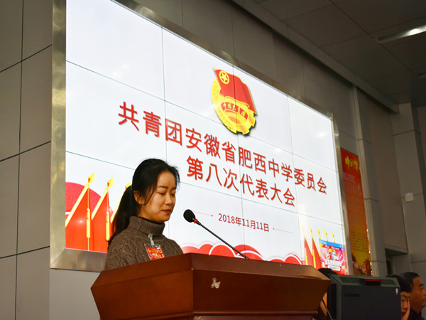 共青团安徽省肥西中学委员会召开第八次代表大会(图7)