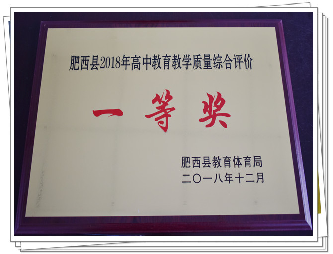 肥西中学荣誉墙上再添荣誉(图1)