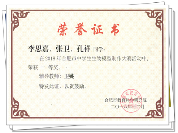 肥西中学在合肥市生物模型大赛中再获佳绩(图1)