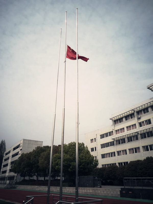 (图2)