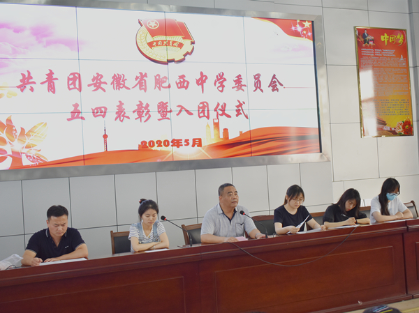 青春正韶华 建功新时代——肥西中学开展主题团日活动(图6)