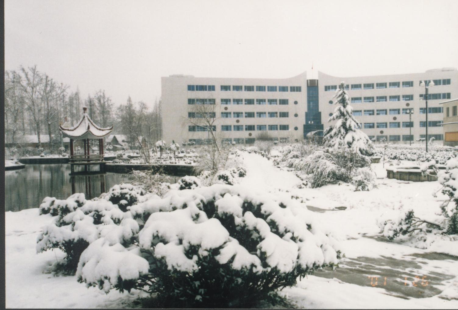 教学楼雪景(图1)