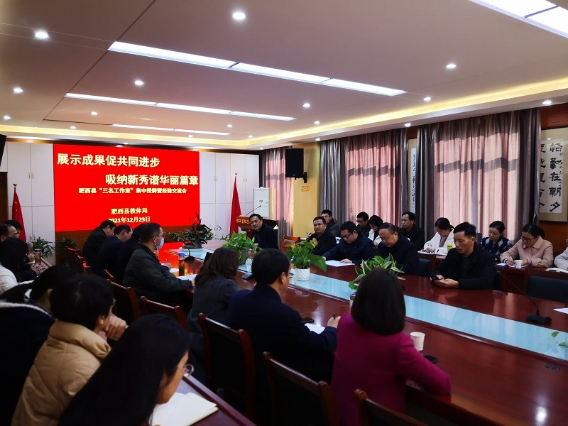 (图1)
