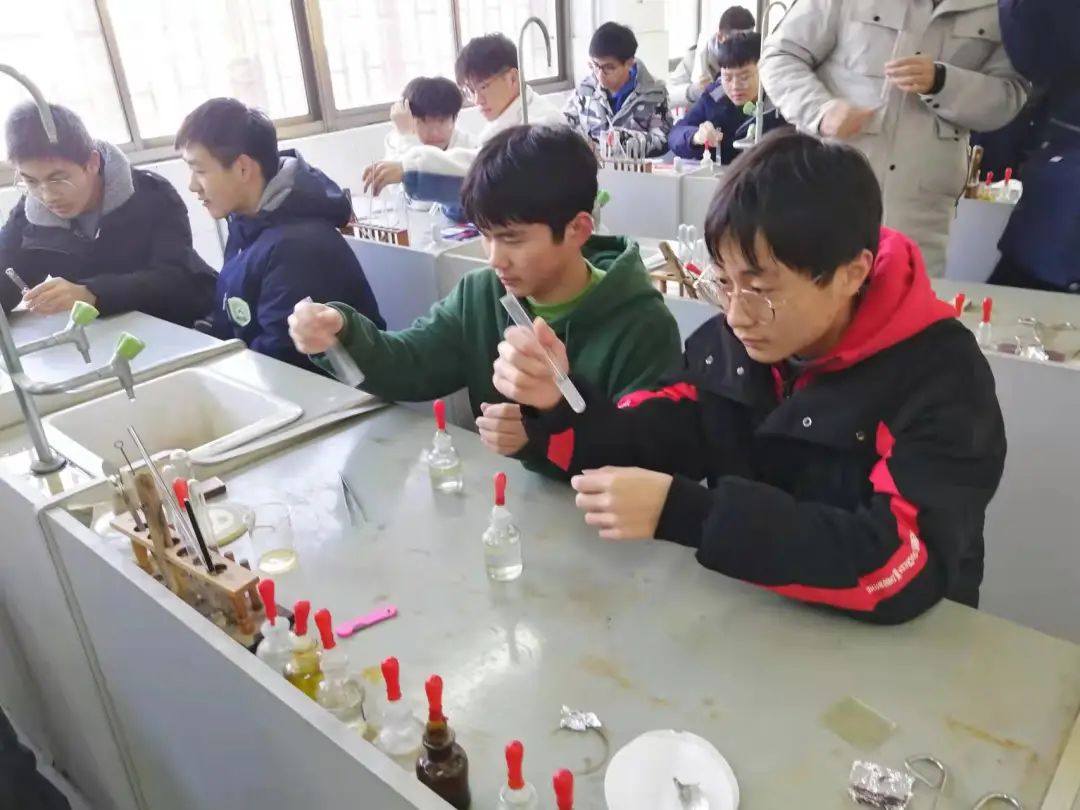 (图1)