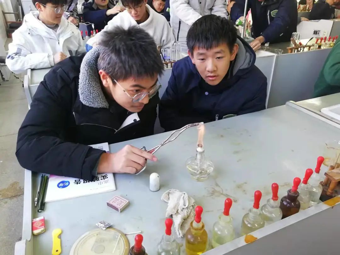 (图2)