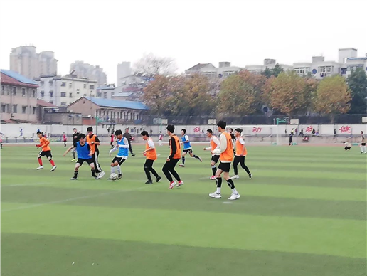 (图6)