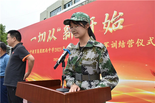 (图13)