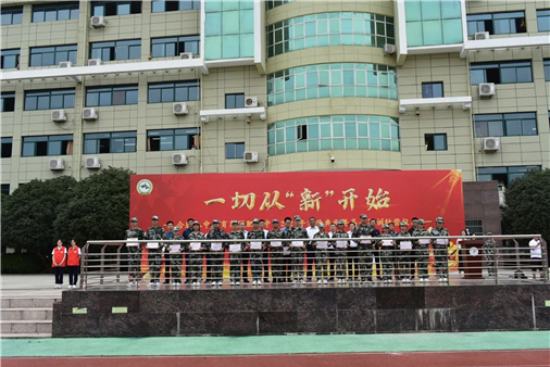 (图12)