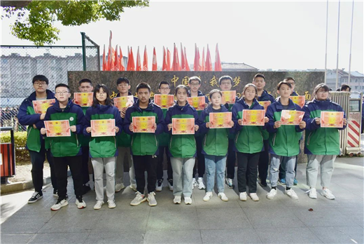 (图13)
