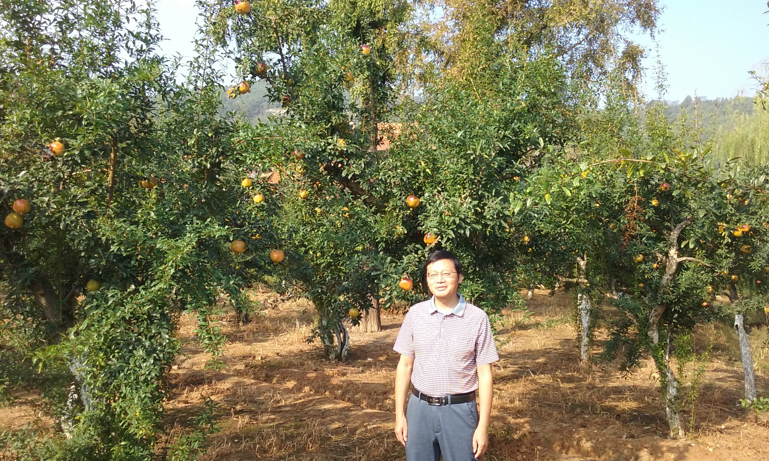 程曦(图1)
