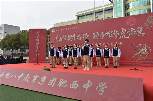 (图11)