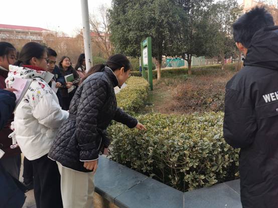 (图3)