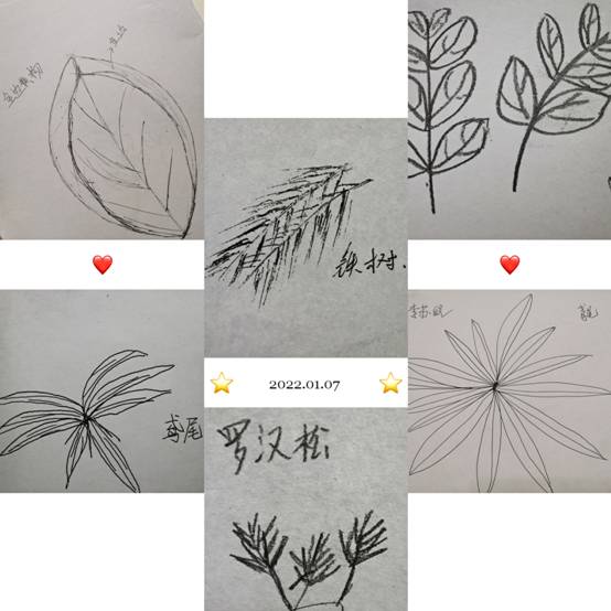 (图7)