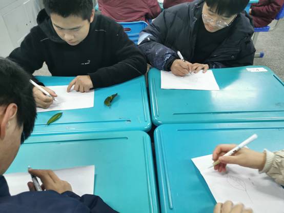 (图6)